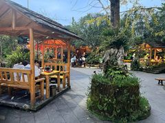 -青城甲(青城山店)