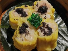 -点都德·毕德寮