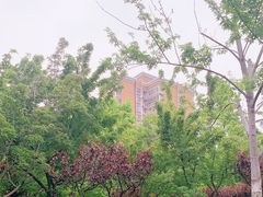 -北极寺公园