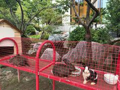 -扬州香格里拉·香宫中餐厅