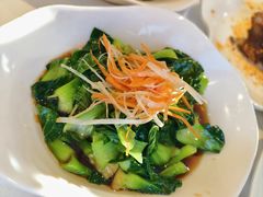 白灼小棠菜-凯鸽酒楼(操场城店)