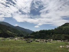 -芦芽山旅游度假区