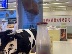 -红星前进面包牛奶公司(君太店)