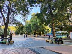 -哈尔滨文化公园