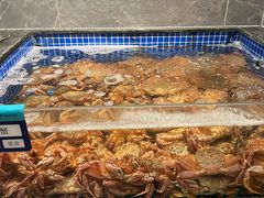 -东海怡品海鲜豆捞(星街坊店)
