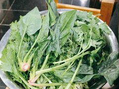 -黔府豆米火锅野菜馆(南马店)