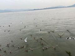 -宝安西湾红树林湿地公园