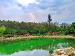 -牛首山文化旅游区