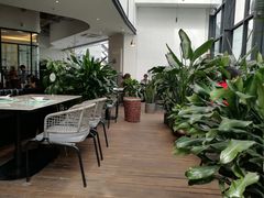 -大树餐厅(红旗街万达店)