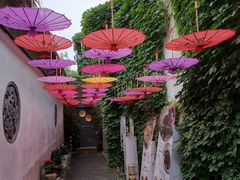 -鱼食饭稻·苏浙土菜17年老馆子(平江路店)