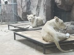 -鄂尔多斯野生动物园