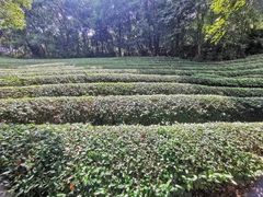 -敬亭山风景名胜区