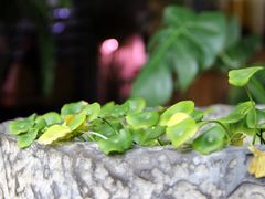 -云上千禾(水上店)