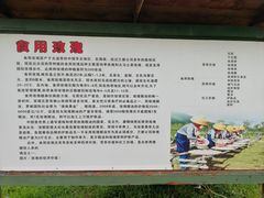 -亚龙湾国际玫瑰谷