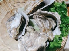 -鸽子窝(宋庄店)