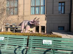 -国家自然博物馆