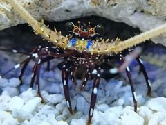 -正佳极地海洋世界