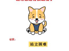 -美迦爱-牙专科·兔科·骨科诊疗中心(北苑店)