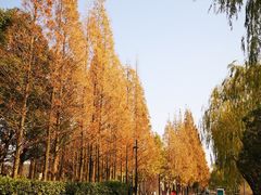 -太阳岛旅游度假区
