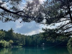 -四明山国家森林公园