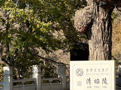 -北陵公园