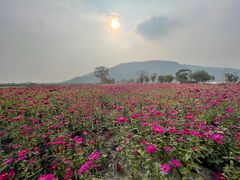 -南北湖风景区