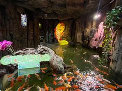 -正佳雨林生态植物园