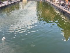 -DGE季风钓虾营地·团建·聚会