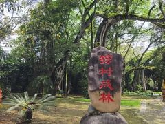 -独树成林