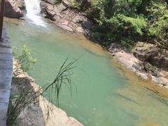 -广州白江湖森林公园