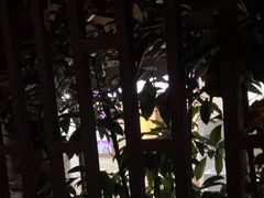 -璐坊粽王(复兴中路店)