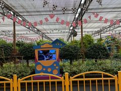 -南宫五洲植物乐园