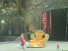 -广州长隆国际大马戏