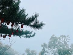 -云蒙山风景区