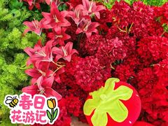 -万达广场(宝山店)