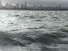 -日照世帆赛基地