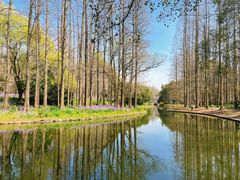 -上海共青森林公园