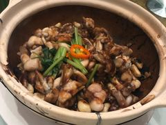 -圆苑(上海广场店)