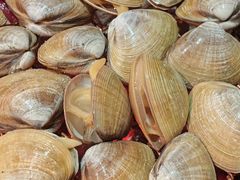 -炭之家齐齐哈尔大片烤肉·涮毛肚火锅·齐齐哈尔烤肉(中央大街店)