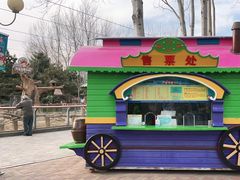 -辛玛王国游乐园