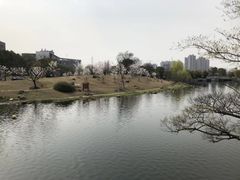 -同济大学(嘉定校区)