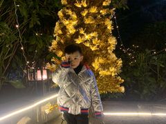 -宝莱纳啤酒花园餐厅PAULANER BRAUHAUS Nanjing(广州路店)