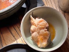 -毛辣果·酸