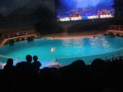 -海合安武汉极地海洋公园