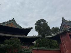 -报恩寺(平武县)