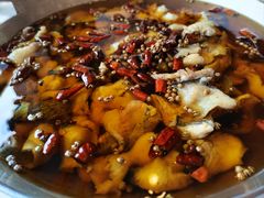 -鑫巴蜀小镇 · 水煮鱼专研店(玉桥店)