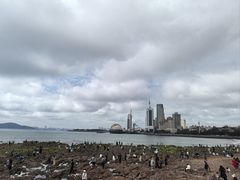-栈桥景区