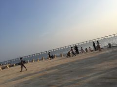 -宝安西湾红树林湿地公园