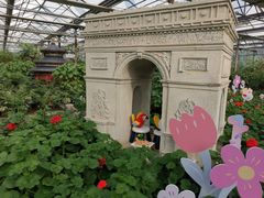 -南宫五洲植物乐园