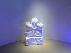 -涨巢·潮玩水疗局